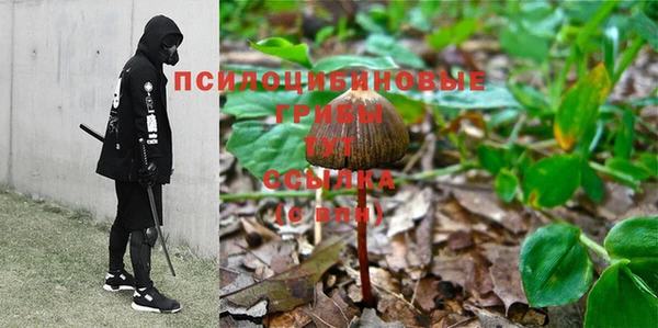 эйфоретик Алексеевка