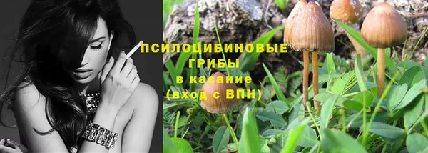 эйфоретик Алексеевка