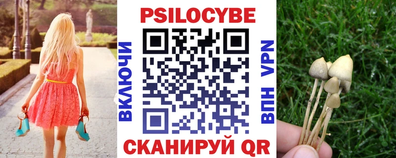 Псилоцибиновые грибы GOLDEN TEACHER  маркетплейс телеграм  Тутаев  что такое наркотик 