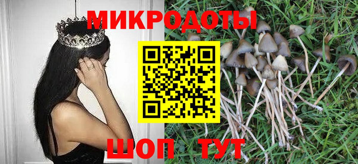 Тутаев  наркотики  Вход с VPN  Псилоцибиновые грибы Psilocybe 